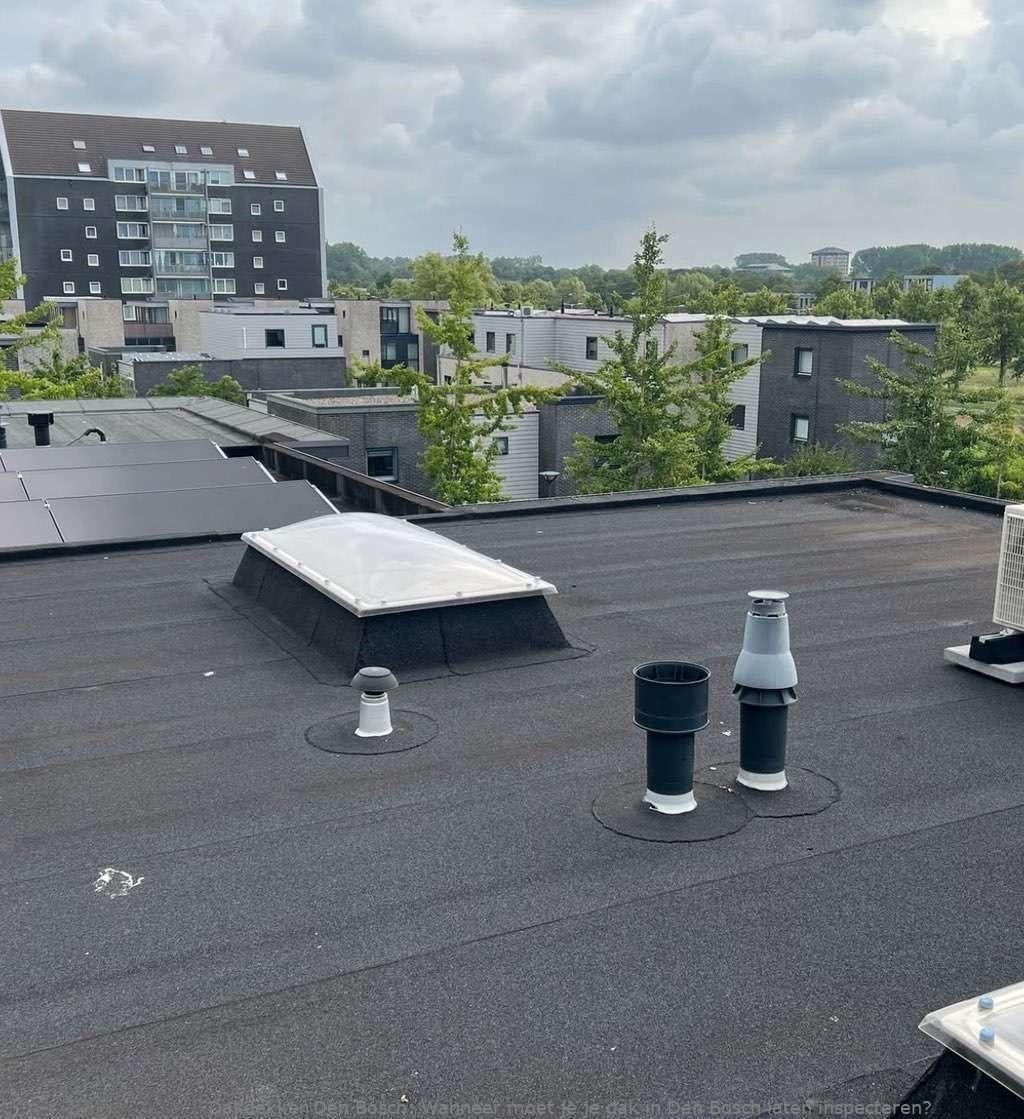 Dak Laten Inspecteren Den Bosch