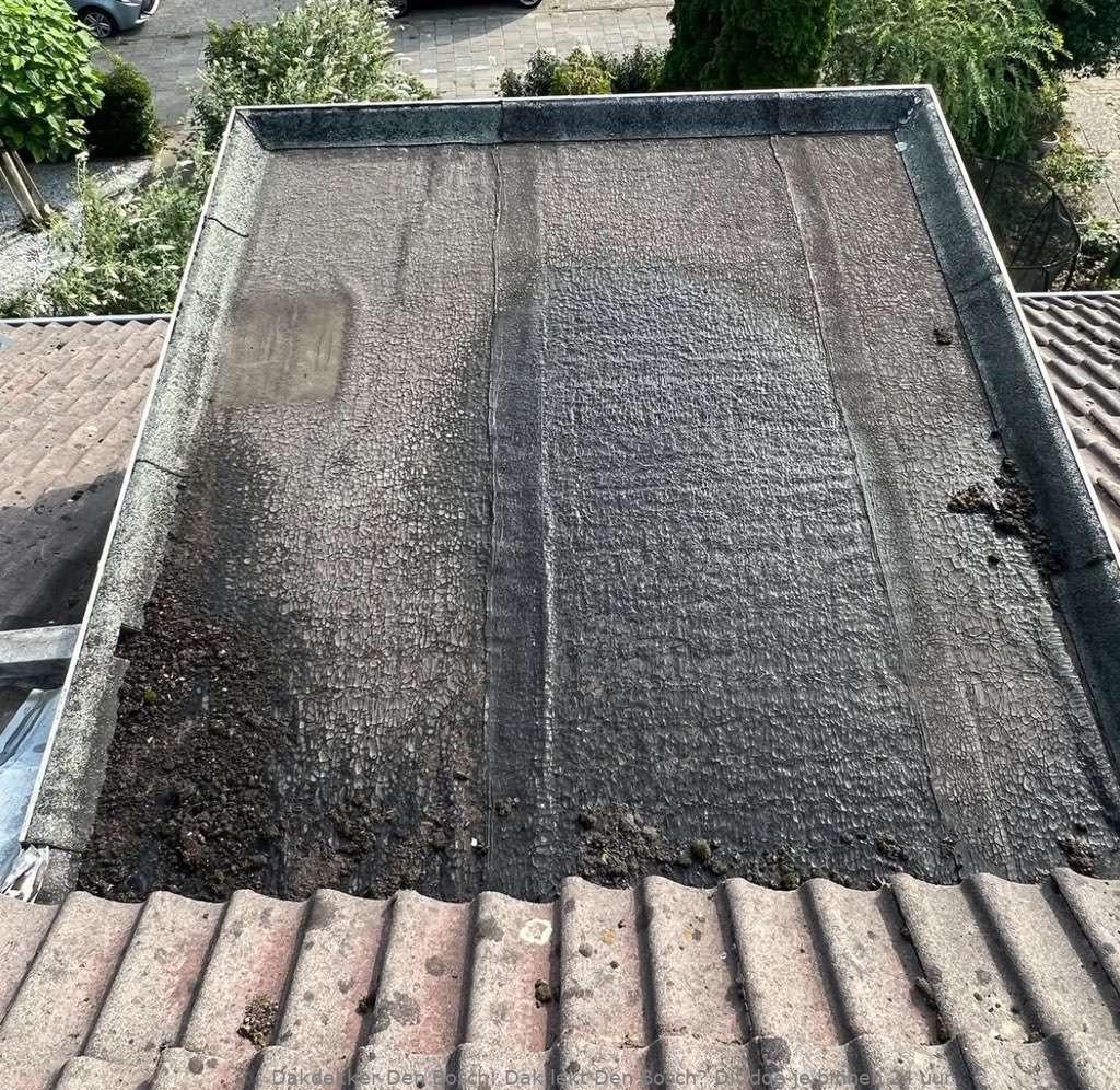 Dak Lekt Den Bosch