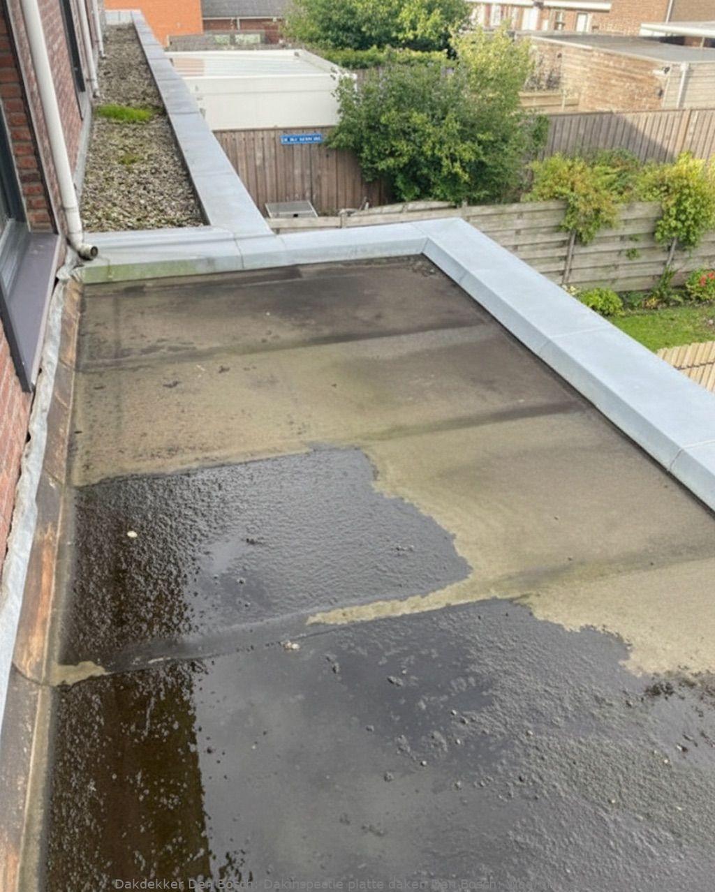Dakinspectie Platte Daken Den Bosch