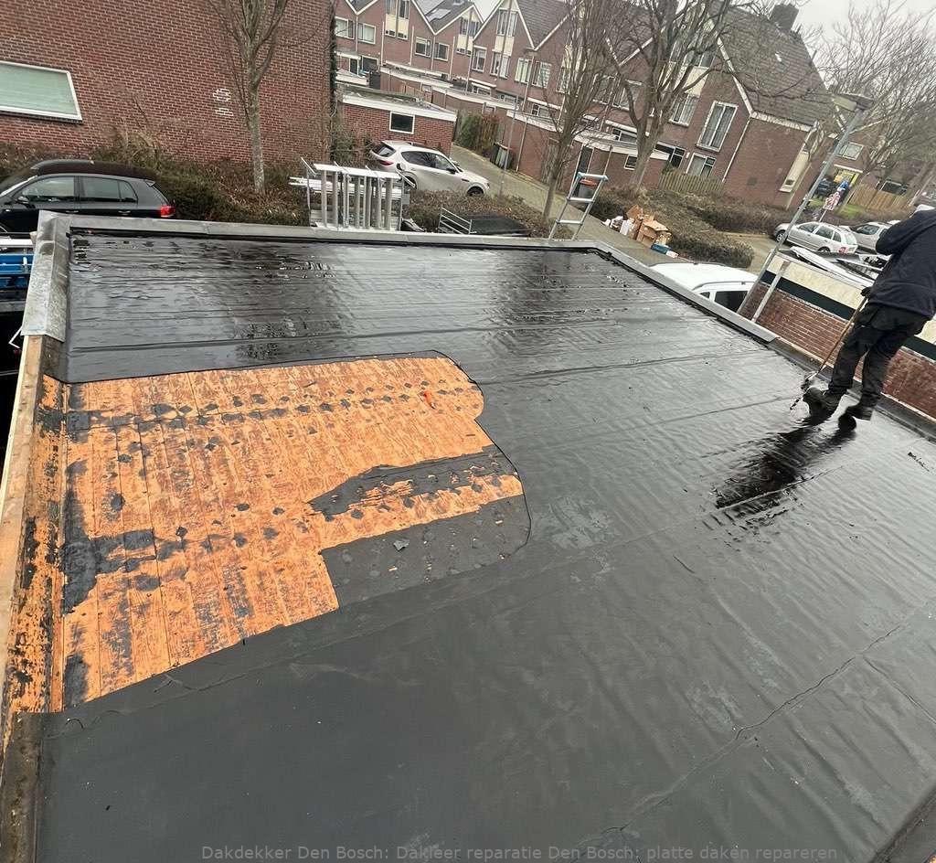 Dakleer Reparatie Den Bosch