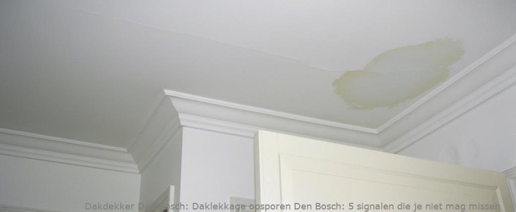 Daklekkage Opsporen Den Bosch
