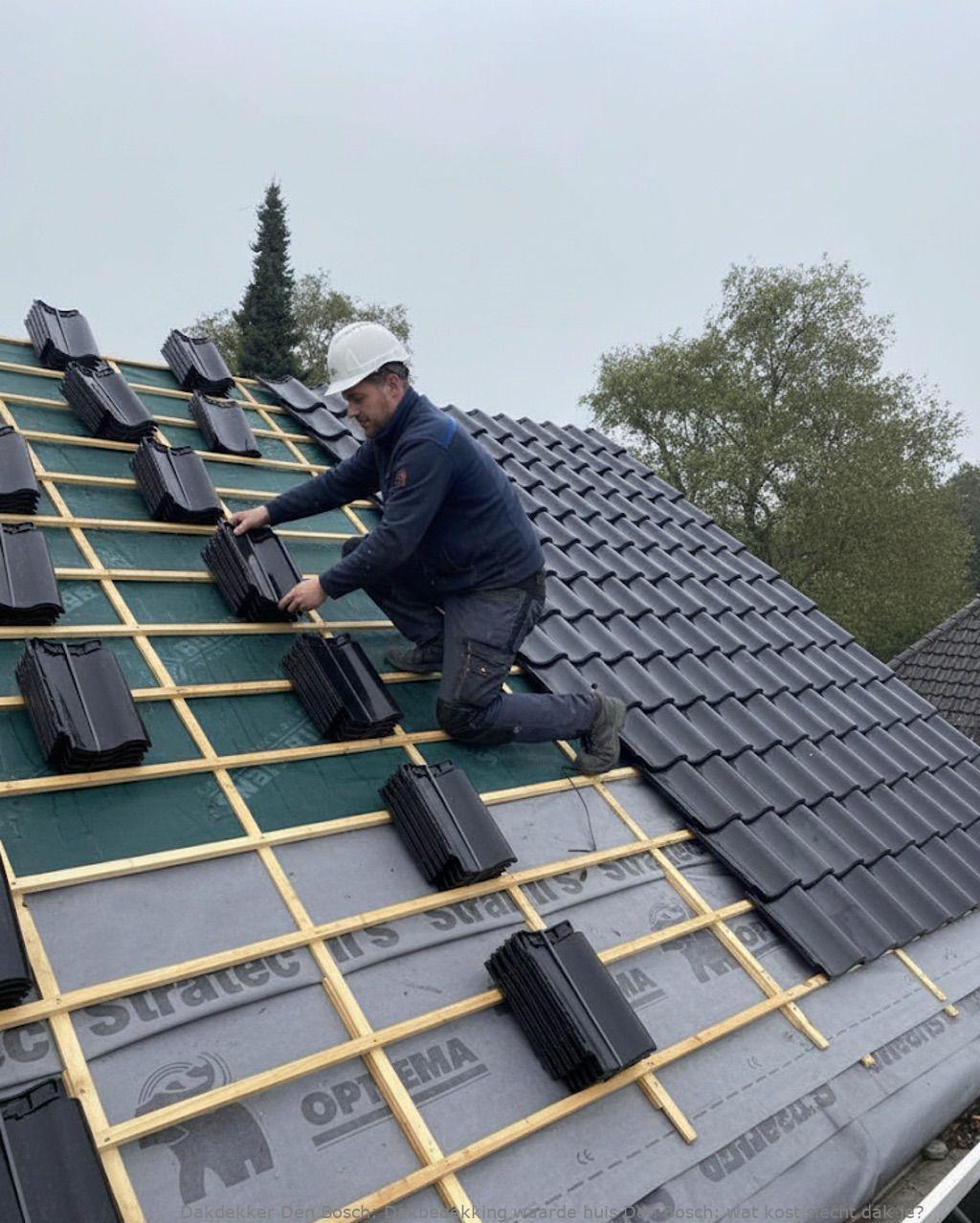 Invloed Dakbedekking Op Waarde Huis Den Bosch