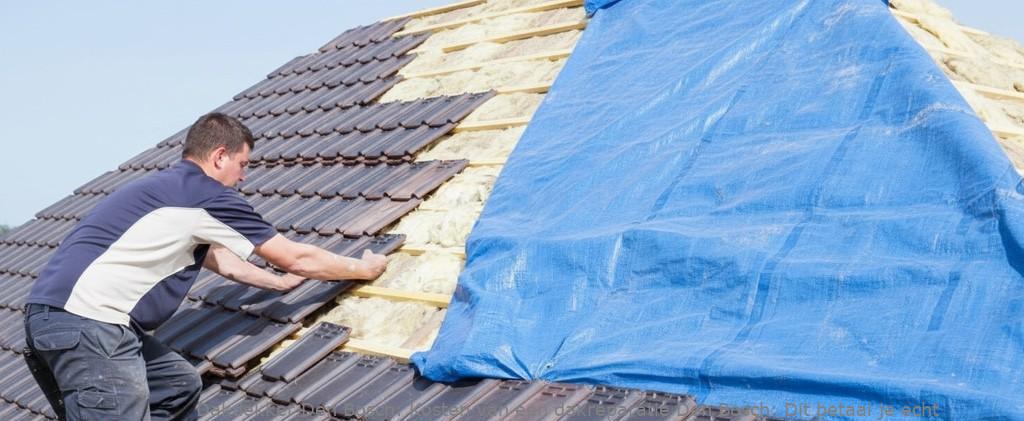 Kosten Van Een Dakreparatie Den Bosch