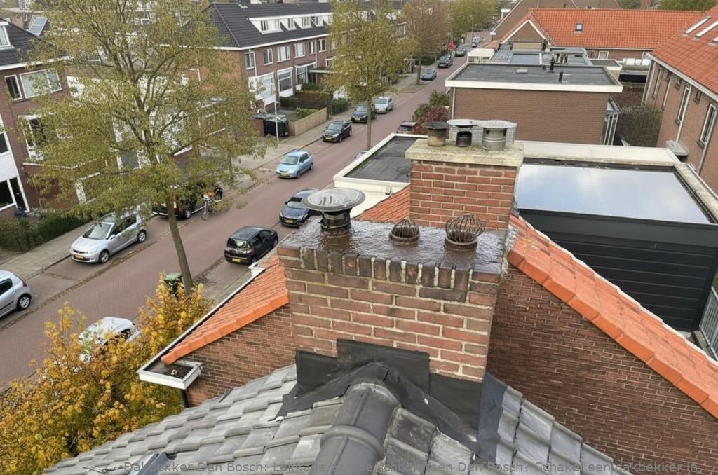 Lekkage Aan De Schoorsteen Den Bosch