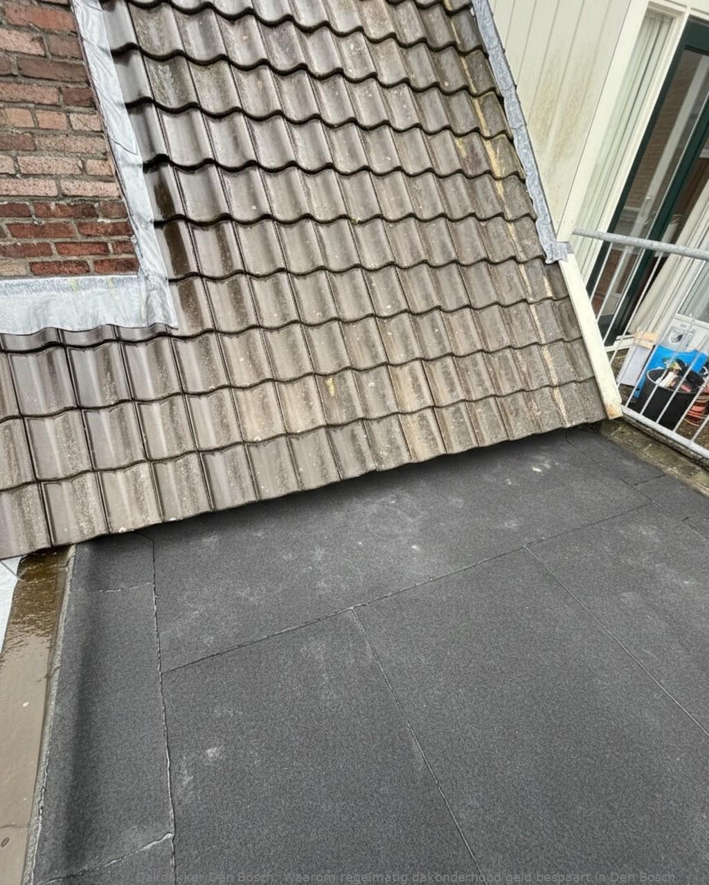Onderhoud Dak Den Bosch