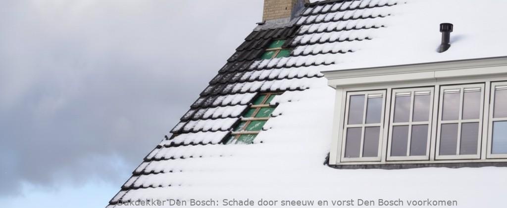 Schade Door Sneeuw En Vorst Den Bosch