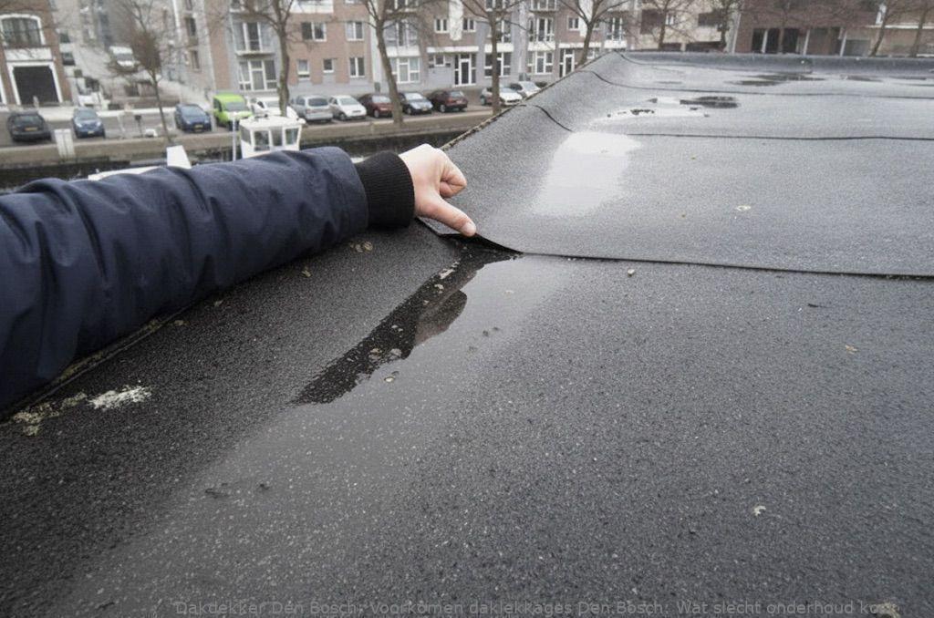 Voorkomen Daklekkages Den Bosch