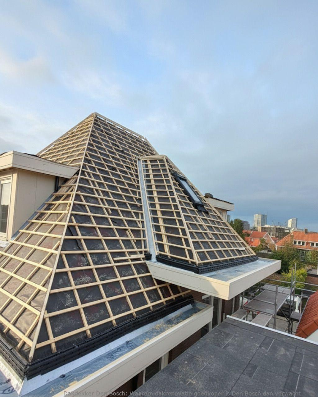 Waarom Dakrenovatie Goedkoper Is Den Bosch
